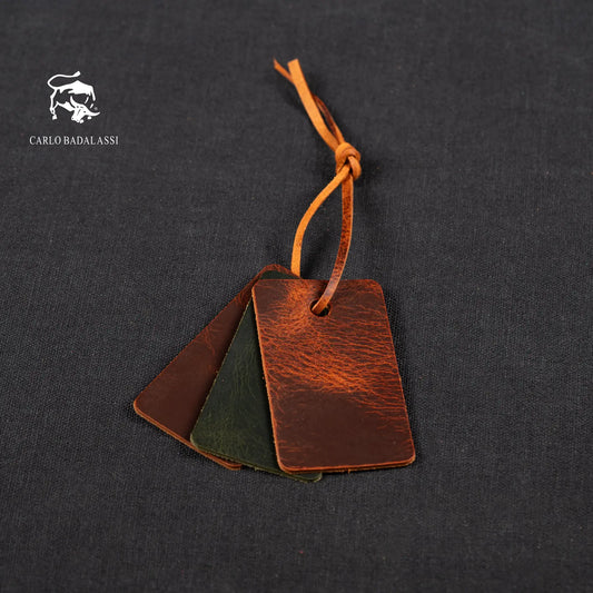 Badalassi Carlo Wax - Color card